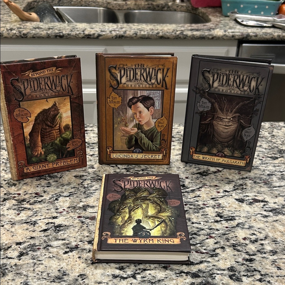 Set a four Spiderwick Chronicles books hardcover excellent condition
